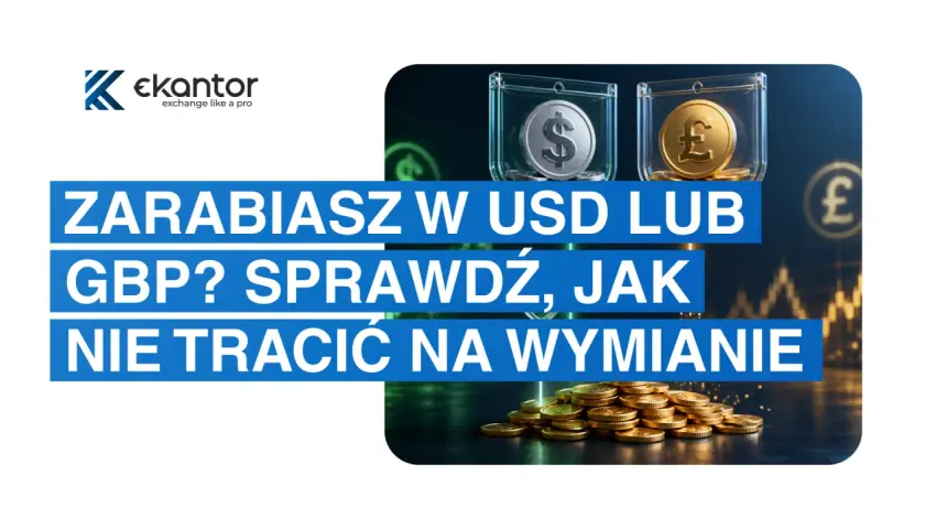 Zarabiasz w USD lub GBP? Sprawdź, jak nie tracić na wymianie, śledząc kurs euro międzybankowy.