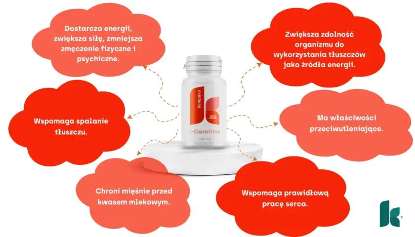 Karnityna: Rewolucja w spalaniu tłuszczu czy tylko mit? Analiza