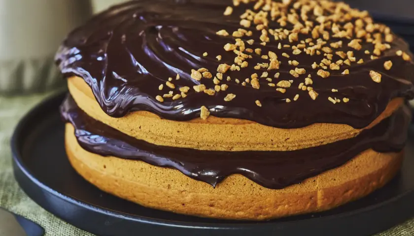 Gâteau sans oeuf à deux étages, nappé de chocolat noir brillant et parsemé de noisettes concassées. Un délice pour tous !