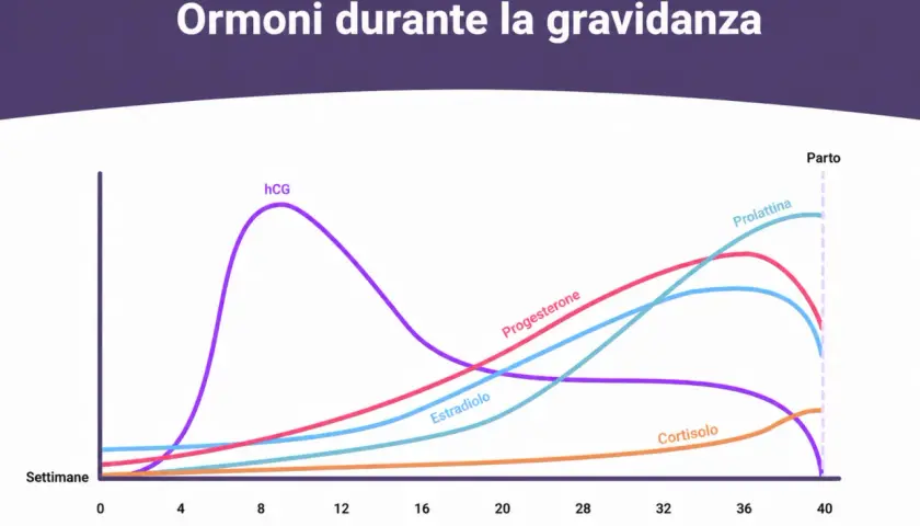 Grafico ormoni gravidanza: hCG, progesterone, estradiolo, prolattina, cortisolo. Valori beta hcg gemelli potrebbero essere più alti.