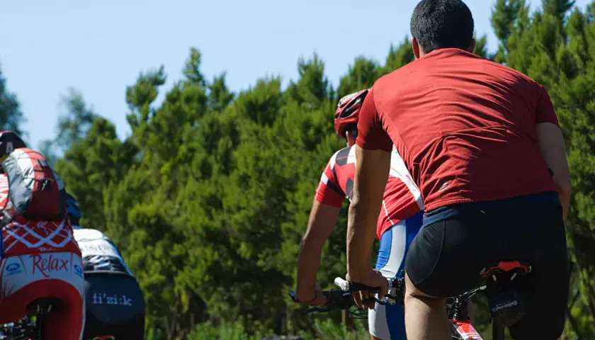 Ciclistas disfrutan de rutas en bici Tenerife, rodeados de exuberante vegetación y cielo azul.