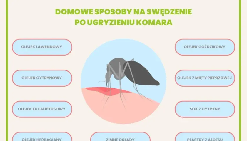 Grafika pokazuje komara gryzącego skórę, wywołując swędzenie. Przedstawia domowe sposoby na uczulenie na komary, np. olejki i zimne okłady.