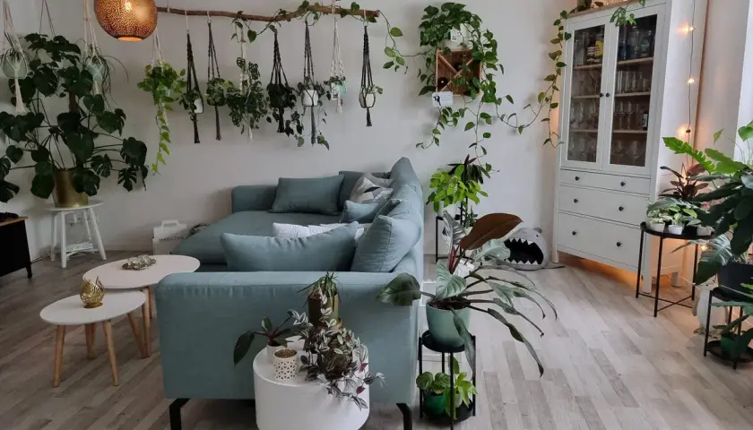 Gemütliches Wohnzimmer mit vielen Pflanzen als Deko-Ideen. Hängende Pflanzen und ein großer Monstera-Baum schaffen eine grüne Oase.