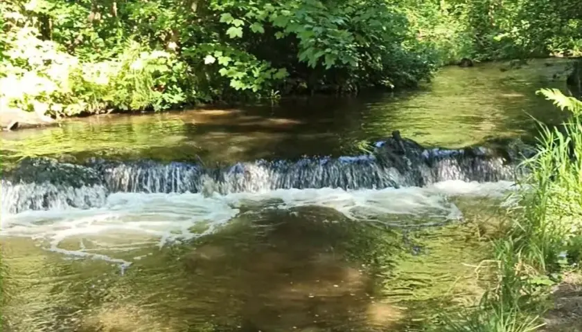 Szumy nad tanwią, gdzie woda spływa po kamieniach, otoczona bujną zielenią.
