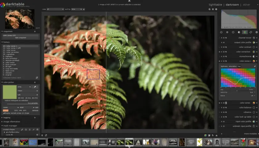 Darmowy program do obróbki zdjęć na Maca, Darktable, pozwala na edycję paproci, zmieniając jej kolory.