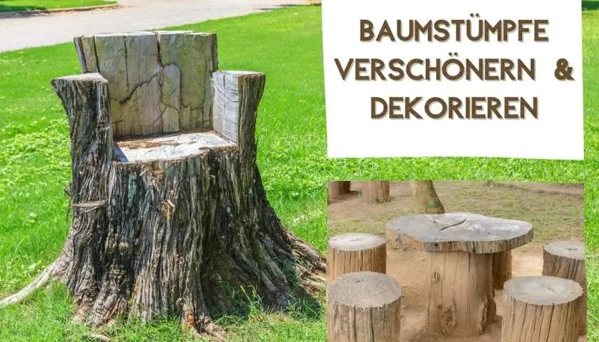 Ein Baumstumpf wird zum Thron, daneben ein Tisch mit Hockern aus Holzscheiten. So kann man aus einem Baumstamm tolle Möbel machen!