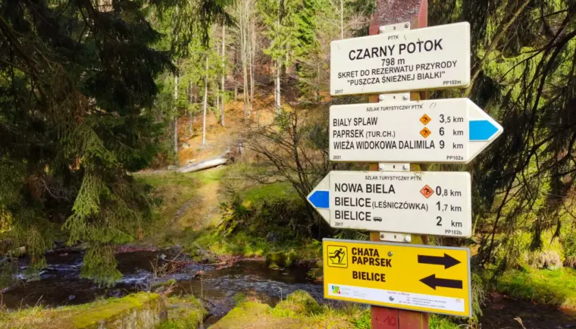 Co oznaczają kolory szlaków rowerowych? Odkryj ich znaczenie i typy