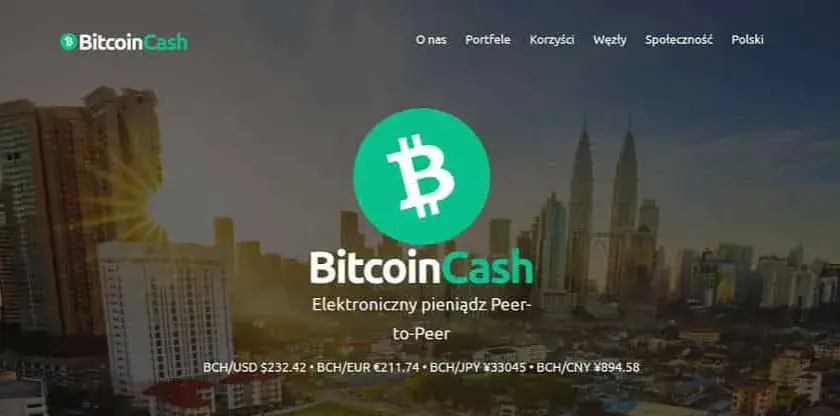 Bitcoin Cash czy warto: Analiza opłacalności inwestycji w BCH
