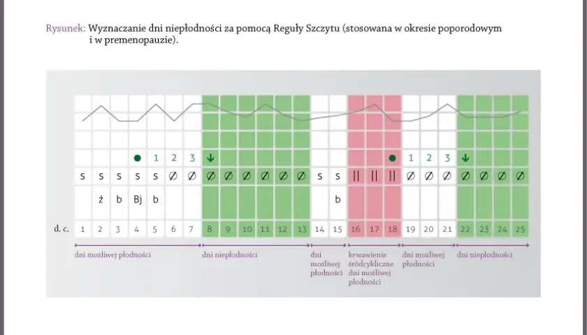 Dni płodne w menopauzie? Czy ciąża po 40. jest możliwa?