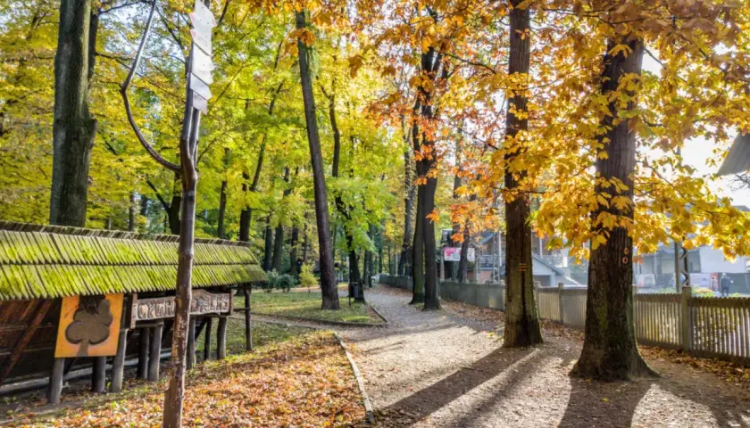 Jesienny szlak na Koziej Górze, złote liście, drewniana wiata i tablice informacyjne.