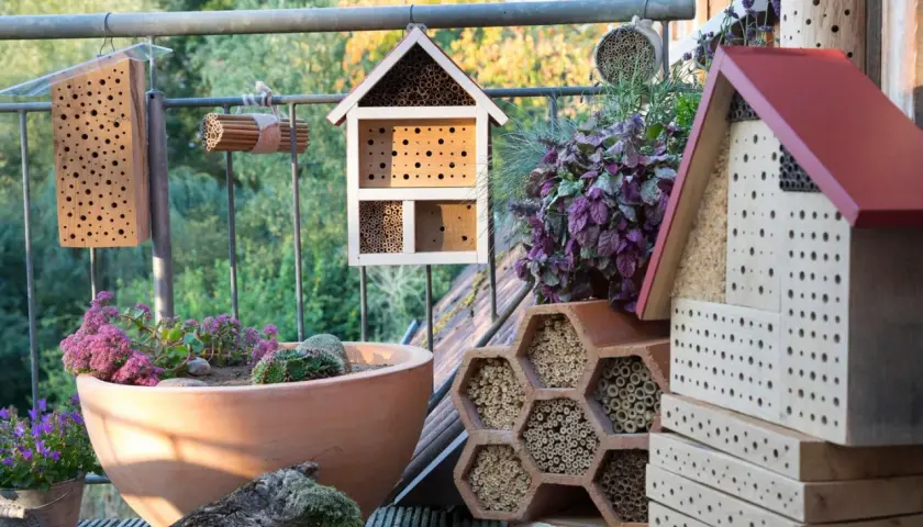 Mehrere Insektenhotels und ein bienenfreundlicher Topf mit Pflanzen. Ein perfektes wildbienen nest für kleine Krabbler.