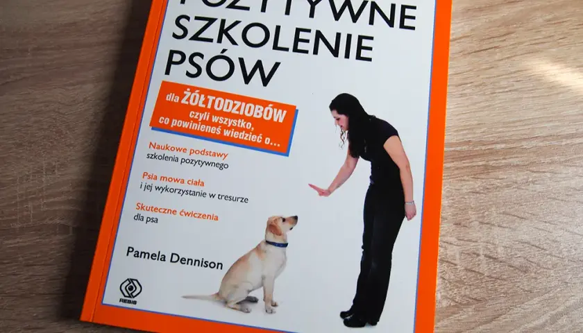 Szkolenie dorosłego psa: Praktyczny przewodnik po pozytywnych metodach