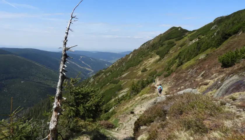 Szlak w Karkonoszach Czech. Turysta z plecakiem schodzi kamienistą ścieżką w dolinę.