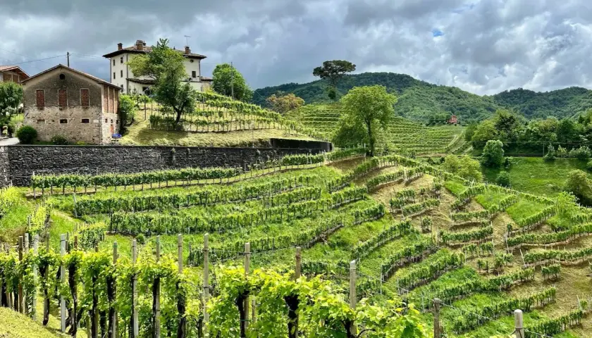 Colline del Prosecco: vigneti terrazzati e casali storici, un paesaggio mozzafiato da esplorare.
