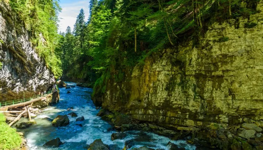 Wilder Fluss schlängelt sich durch eine Schlucht mit steilen Felswänden und üppigem Grün. Ein Holzsteg führt entlang des Wassers. Ein wahres Naturwunder Deutschlands.