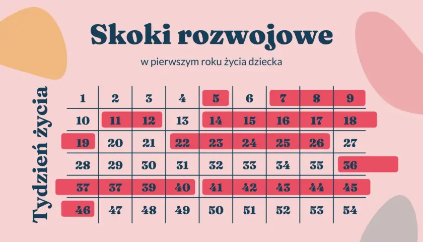 Tabela z tygodniami życia niemowlęcia i zaznaczonymi skokami rozwojowymi.