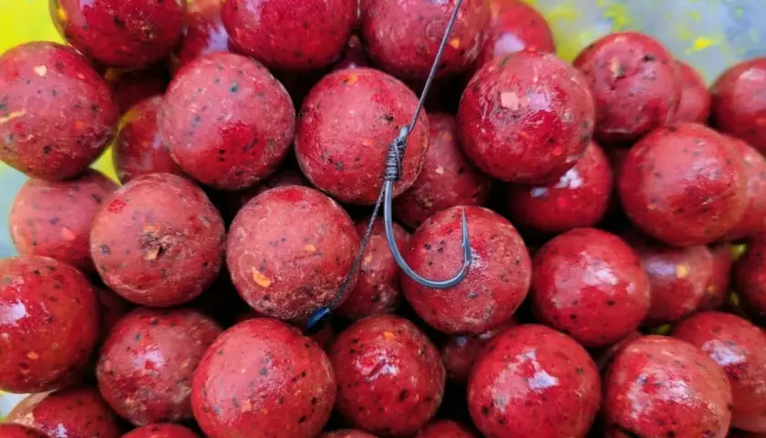 Stos kulek proteinowych na karpia, gotowych do zarzucenia. Te najskuteczniejsze kulki proteinowe na karpia mają intensywnie czerwony kolor i widoczne drobinki.