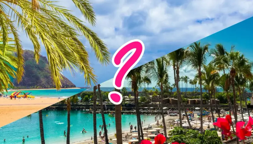Traumstrände mit Palmen: Teneriffa oder Gran Canaria? Ein Fragezeichen trennt die sonnigen Ansichten.