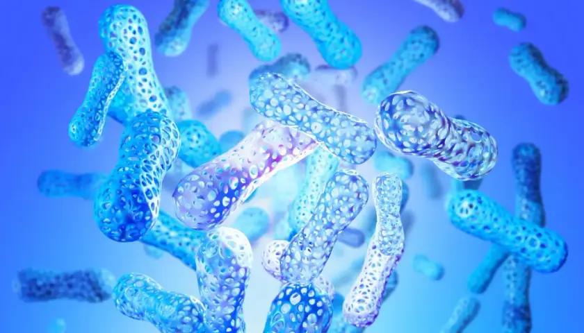 Forme blu traslucide, simili a bastoncini, con texture a nido d'ape, fluttuano in uno spazio blu. Rappresentano enzimi digestivi naturali.
