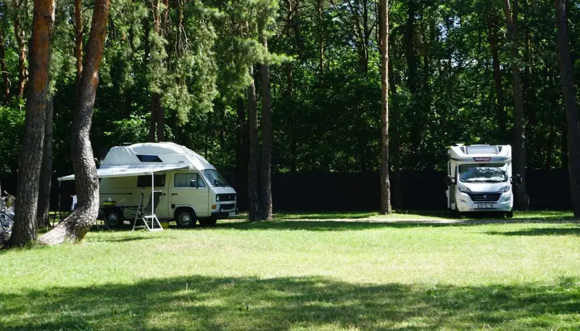 Dwa kampery zaparkowane na trawie w lesie, jakby zatrzymały się na chwilę przed dalszą podróżą, może w poszukiwaniu malowniczego przełomu rzecznego.