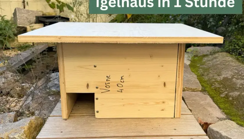 Fertig ist das Igelhaus bauen! Ein gemütliches Zuhause für den Igel, schnell und einfach.