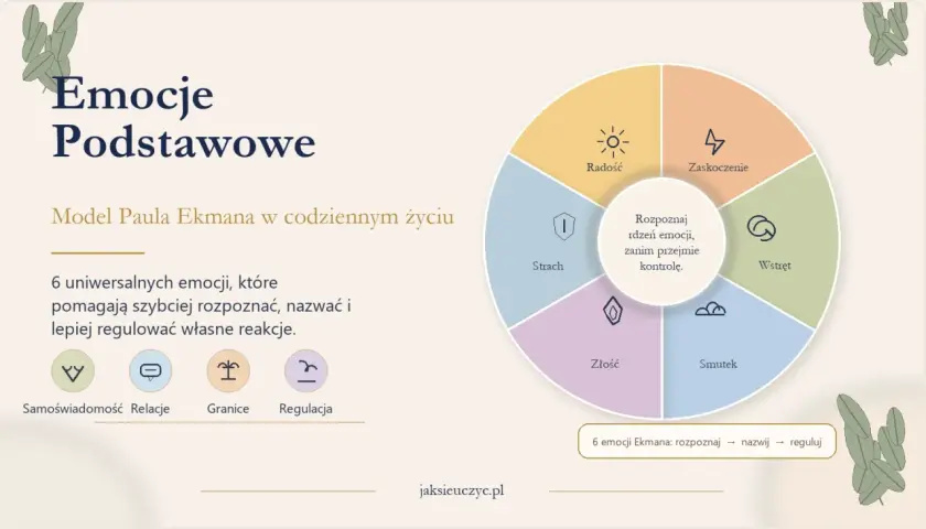 Model Ekmana: 6 emocji (radość, zaskoczenie, wstręt, smutek, złość, strach) pomaga w samoświadomości, relacjach, stawianiu granic i regulacji. Jak poznać samego siebie? Rozpoznaj rdzeń emocji.