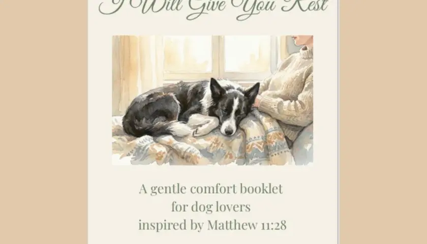 Ein Hund ruht sich auf einer Decke aus, inspiriert von Matthäus 11:28. Ein sanftes Heft für Hundeliebhaber.