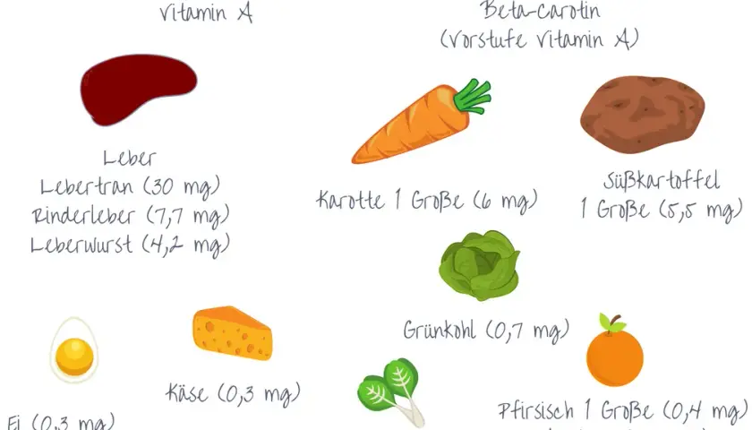 Vitamin A Lebensmittel: Die besten Quellen für Gesundheit und Wohlbefinden