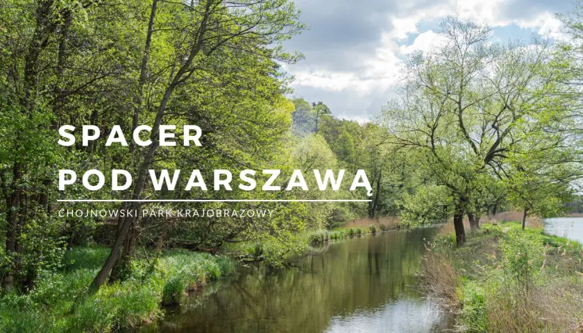 Zielony krajobraz nad wodą, idealne miejsce na spacer pod Warszawą. Chojnowski Park Krajobrazowy zaprasza.