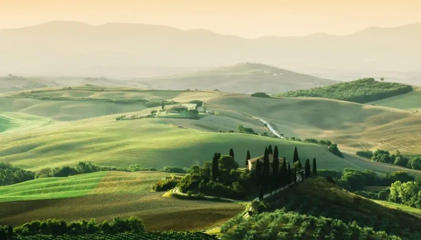 Paysage toscan vallonné avec une ferme, idéal pour l'oenotourisme à Arezzo. Vignes et cyprès bordent les routes sinueuses.