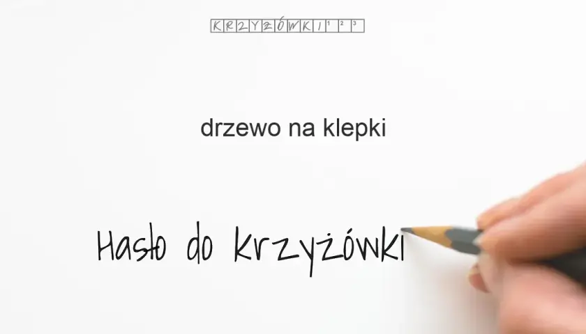 Masz "drewno na klepki podłogowe" w krzyżówce? Oto odpowiedzi!