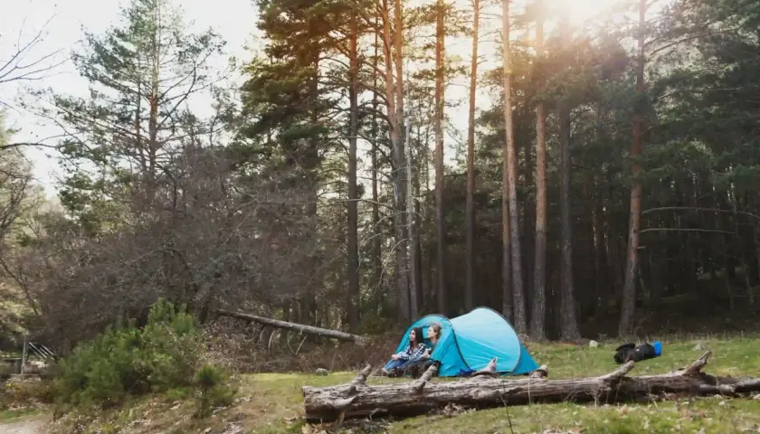 Deux jeunes femmes profitent d'un moment de **camping sauvage en Allemagne**, blotties dans leur tente bleue au milieu d'une forêt de pins ensoleillée.