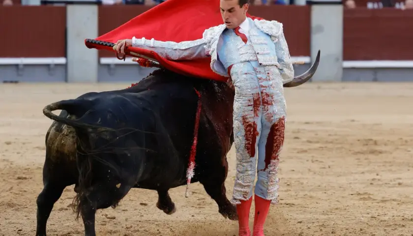 Un torero con traje de luces azul y rojo, manchado de sangre, se enfrenta a un toro negro en la plaza de toros de la ganadería San Isidro.