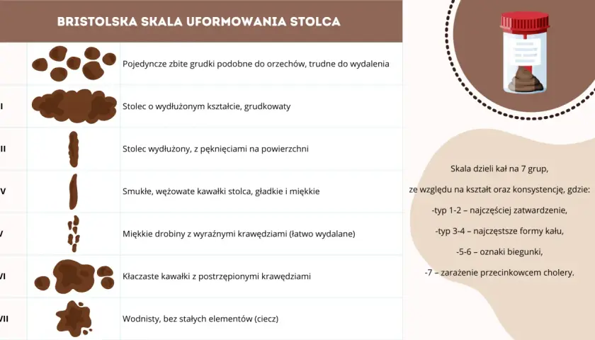 Bristolską skalą uformowania stolca opisano 7 typów, od twardych grudek (zatwardzenie) po wodnisty (biegunka).