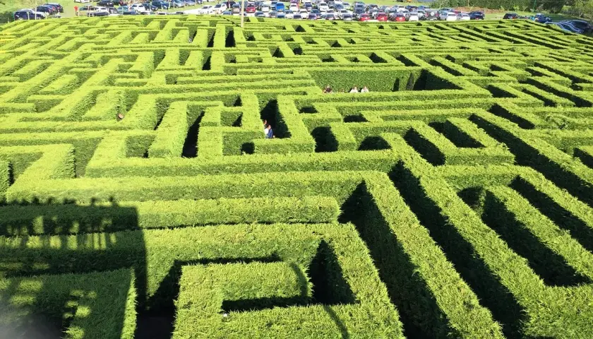 Un laberinto de VillaPresente, con personas explorando sus verdes senderos. ¡Un lugar para perderse y crear recuerdos!