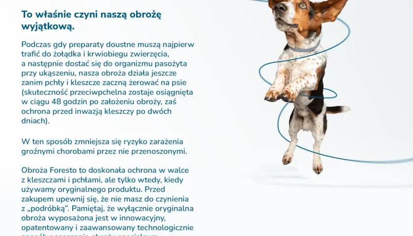 Ochrona szczeniaka przed kleszczami: Bezpieczne metody i porady