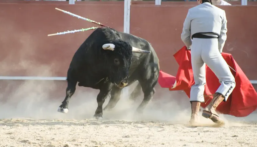 Un toro negro, con dos banderillas clavadas, embiste levantando polvo. Un torero, con su traje de luces, se prepara para el lance.