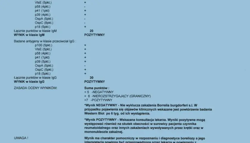 Badania na boreliozę po kleszczu: Kiedy i jakie, by wynik był pewny?