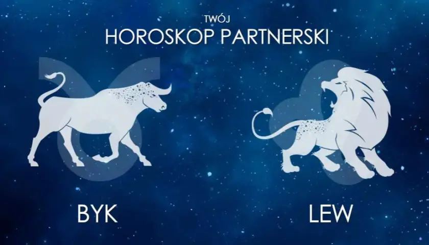 Byk i Lew: Dopasowanie, Miłość, On Byk, Ona Lew