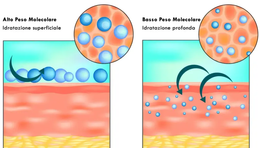 Acido ialuronico: alto peso molecolare per idratazione superficiale, basso peso molecolare per idratazione profonda.