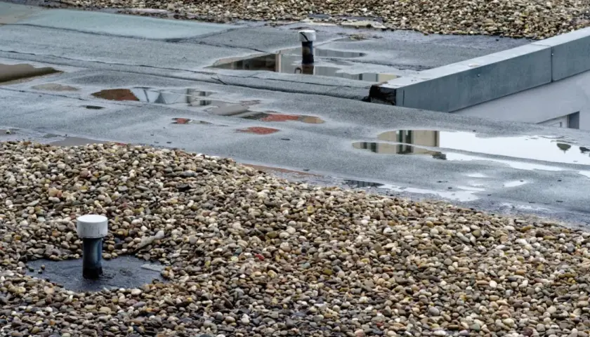 Ein undichtes Flachdach mit stehendem Wasser und Kies. Feuchtigkeit kann zu Schimmelbildung führen.