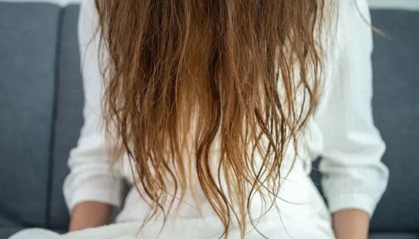 Cabello castaño, visiblemente dañado y seco, con puntas abiertas, como si fuera pelo quemado por plancha.