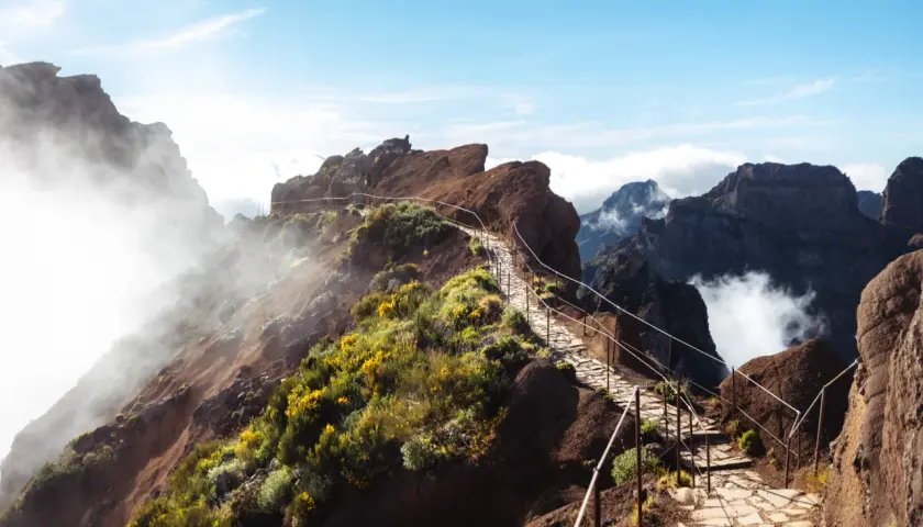 A stone path winds through rugged, misty mountains, dotted with yellow wildflowers. This is the best hike in Madeira, offering breathtaking views.