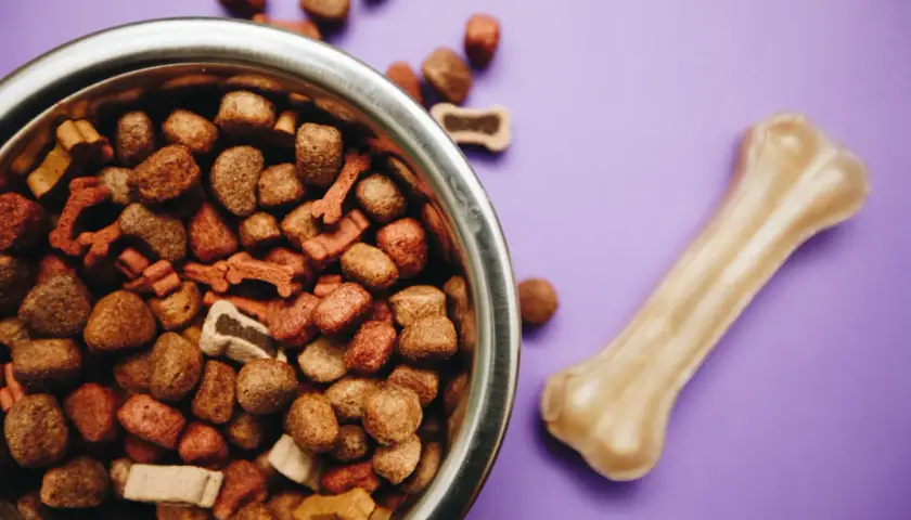 Brit czy Royal Canin dla szczeniaka? Porównanie składu i ceny