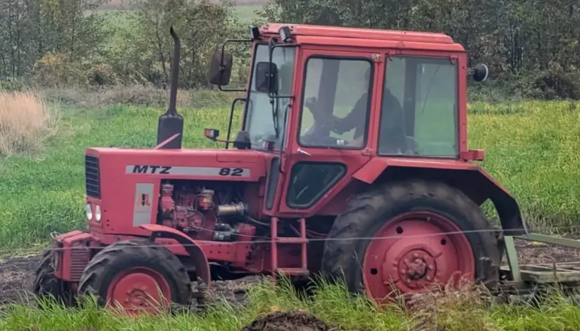 Czerwony traktor Belarus 820 pracuje na polu, za nim widać las.