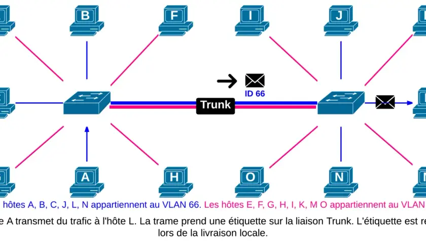 Schéma réseau montrant des ordinateurs connectés à des commutateurs via une liaison Trunk. L'hôte A communique avec L.