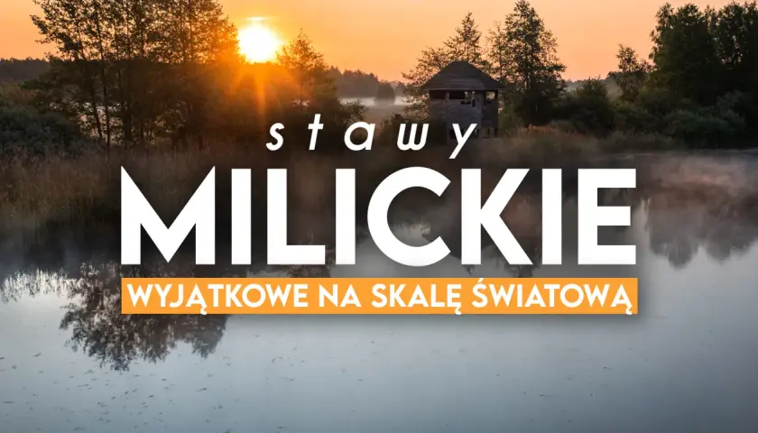 Wschód słońca nad Stawami Milickimi, idealne miejsce na odkrywanie tras rowerowych.