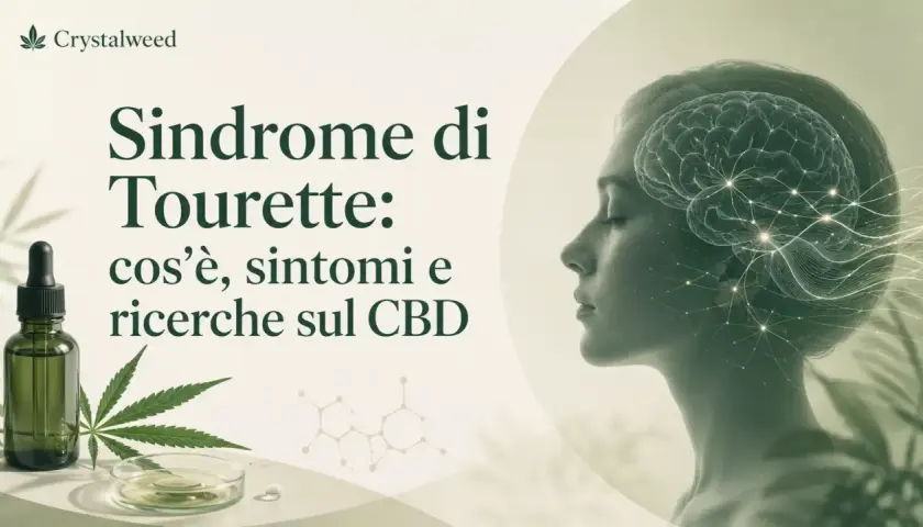 Immagine con testo "Sindrome di Tourette: cos'è, sintomi e ricerche sul CBD". A sinistra, una bottiglia di olio CBD e una foglia di cannabis. A destra, profilo di una donna con un cervello stilizzato sovrapposto.