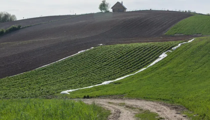 Zielone pola uprawne, ziemia orna i dom na wzgórzu. Obrazek może ilustrować średnie ceny gruntów GUS.