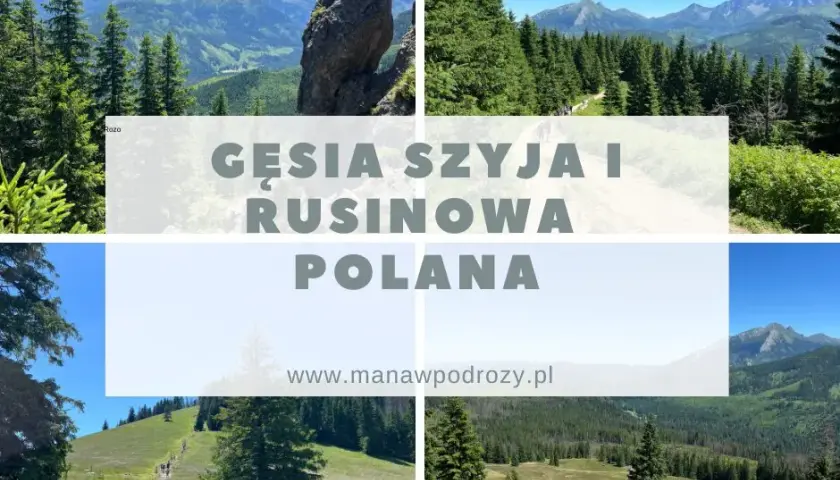 Gęsia Szyja z Wierchu Poroniec: Szlak, Widoki, Porady Kompletny Przewodnik